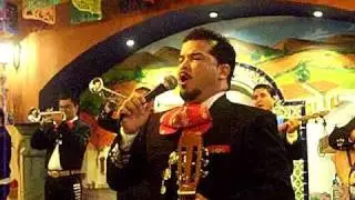 Mariachi Estrella De Plata "Fue un placer conocerte"