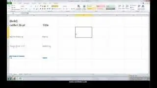 How to Use Format Painter Button in Excel