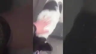 Подпишитесь добрые люди пожалуйста обнял 🫂 всех спасибо хорошей жизни вам ❤️