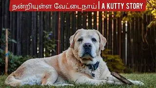 யாரும் என்ன RESPECT பண்ணல அப்டின்னு வருத்த படுறீங்களா ? | MOTIVATIONAL SHORT STORY SERIES |