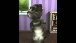 кот том прикол