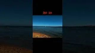 scariest things found underwater: pt 2 | @cryptic.tok