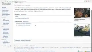 Quick and Easy Wikipedia Link Technique