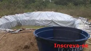 Criação de Tilápia em Tanque de Lona - Problema Resolvido