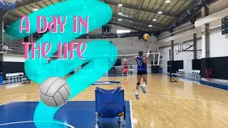 Day In The Life of a Free Agent Volleyball Player