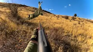 TAVŞAN VE KINALI KEKLİK AVI | SÜRPRİZ GİBİ TAVŞAN | HARE AND PATRIDGE HUNTING | صيد الأرانب والحجل