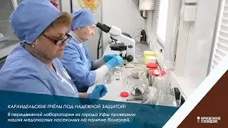 Караидельские пчёлы под надежной защитой!
