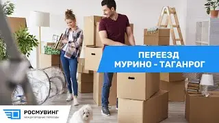 Переезд из г. Мурино - г. Таганрог #транспорт #переездподключ #центрпереезд #переездбезхлопот