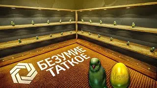 24 Аксель попугая и 24 яйца в моих владениях EFT | Dunduk
