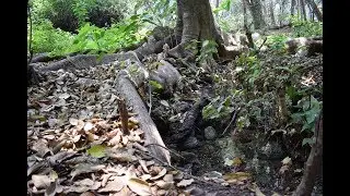 ¿Como nace el agua?