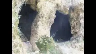 DİYAR Zu Ware