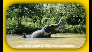 Sanctuaire éléphants 2023