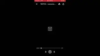 T$VFOG - everyone *RARE*