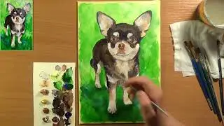 Как нарисовать чихуахуа. Рисуем собаку- чихуахуа. Самая маленькая собака- чихуахуа. Акрил