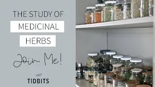 The Study of Medicinal Herbs | Let's Learn Together!