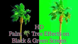 How to Palm 🌴 Tree Effects On Black & Green Screen HD Video || Vimage Tree Effects || Video Edition