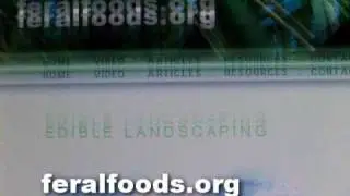 website update--history of raw in america + edible landscaping