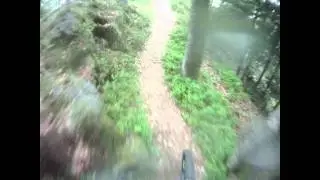 Bärenfelsen in Hornberg