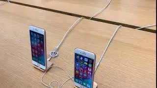 iPhone XR Video Sample