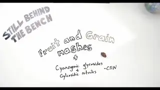 Ep 27 - Fruit Mash, Grain Mashes, Cyanogenic glycosides, Glycosidic nitriles, and Ethyl carbamate