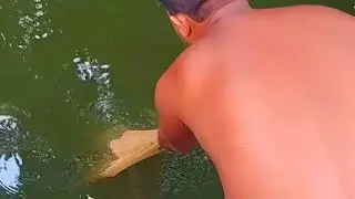 Cast Net Fishing in Village by Kolkata Fishing Channel Video