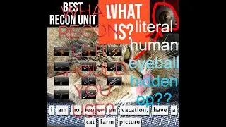 What Recon Units should you use?