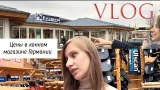 Конный влог #3 | Попона за 13€?! Качество уздечки Миклема.