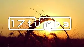Relay & Front - Days Without You
