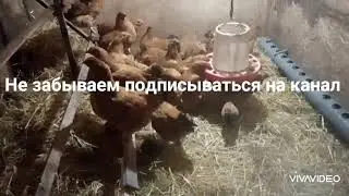 И снова стройка. Переделки в сарае.