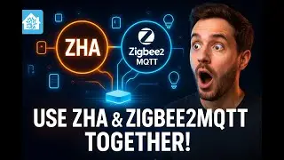 Use ZHA & Zigbee2MQTT  Together  ?