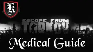 Escape From Tarkov Medical System Beginner's Guide