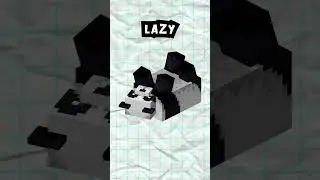 Every Minecraft Panda 🐼