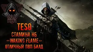 TESO: Стамина НБ. Отличный ПВП билд для ЧП компаний