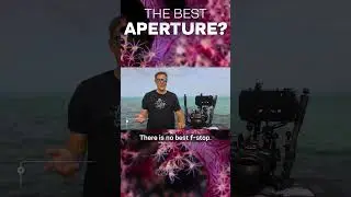 What Is The Best Aperture For Underwater Photo & Video? 