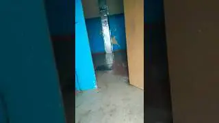 ПРИКЛЮЧЕНИЯ ЯНДЕКС КУРЬЕРА (ЧАСТЬ 1)