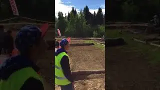 Шустрая Белка 2018