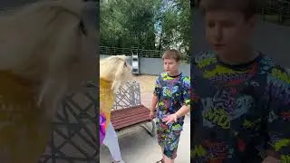 Влетела в краску