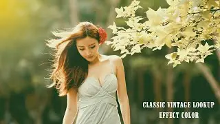 Classic Vintage LookUp Color Effect  [blend and retouch]