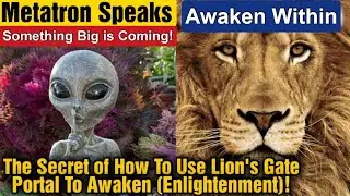 It's About to Get Real-Prepare Yourself For Lions Gate Portal: 3 Choices & Story of Awakening