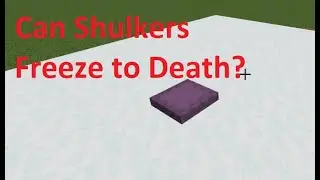 Can Shulkers Freeze to Death in Minecraft?
