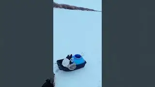 🐟 Too Much of Ice Drilling 🎣 