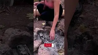 WOW! It will burn for a long time!🔥 #bushcraft #outdoors  #camping #alisha #asmr #marusya #BraveGals