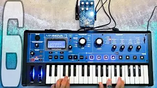 MININOVA Adventures #6 || [Ocean Waves with Alabs Cetus Reverb]