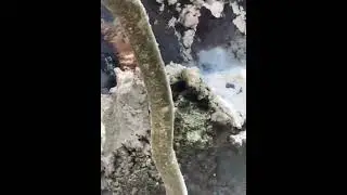 Munții României, mistuiți de flăcari din cauza temperaturilor extreme. 80 ha de pădure ard, în Gorj