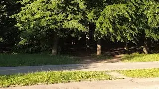 16.07.2022 - Джон Сильвер, Дядя Ваня и Небо в Алмазах