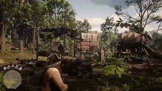 Red Dead Redemption 2 - Лок ит ма хорс, Ма хорс ис майзинг!(Путь к платине)