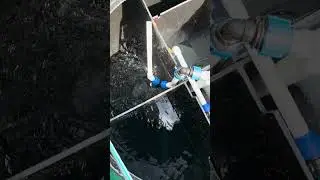 Запускай