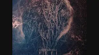 Argus Megere - Veii (Reviu)