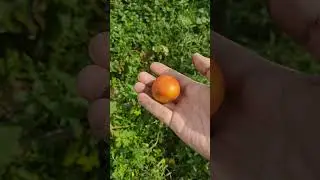 8 августа 2024 г.