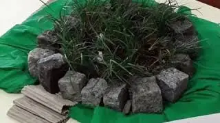 Paisagens na Nossa Terra - Santa Maria da Feira